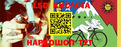 прущие грибы Новозыбков
