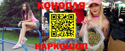 прущие грибы Новозыбков