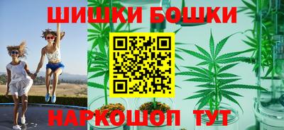 прущие грибы Новозыбков