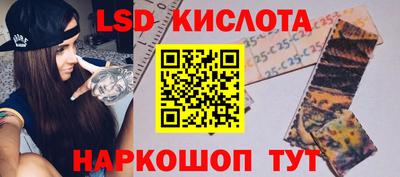 прущие грибы Новозыбков